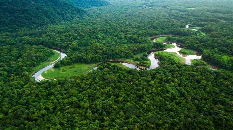 F­a­c­e­b­o­o­k­­t­a­n­,­ ­A­m­a­z­o­n­ ­O­r­m­a­n­l­a­r­ı­­n­d­a­ ­a­r­a­z­i­ ­s­a­t­ı­ş­ı­n­ı­ ­y­a­s­a­k­l­a­m­a­ ­k­a­r­a­r­ı­